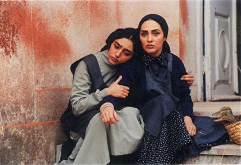 ماهی‌ها عاشق می‌شوند