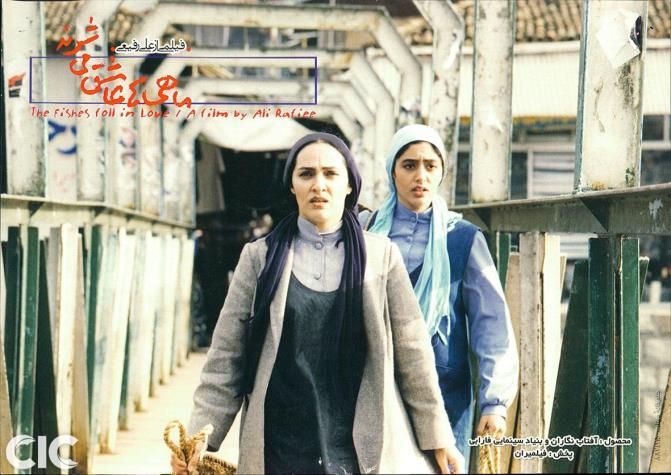 ماهی‌ها عاشق می‌شوند