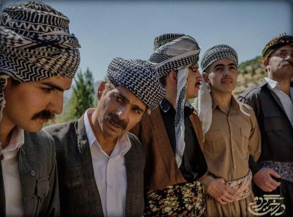 درخت گردو