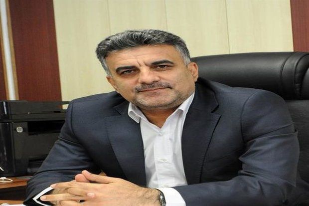 تولید ۳ میلیون اصله نهال جنگلی در سطح نهالستان های لرستان