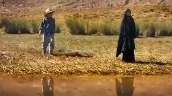 تیزر فیلم سینمایی بچه‌گرگ‌های دره سیب (فریدون نجفی)
