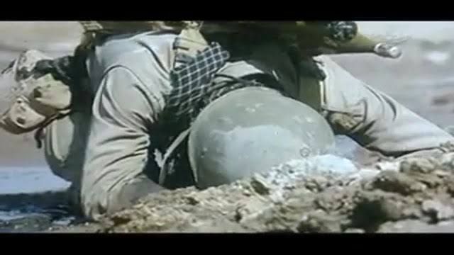 دیدبان