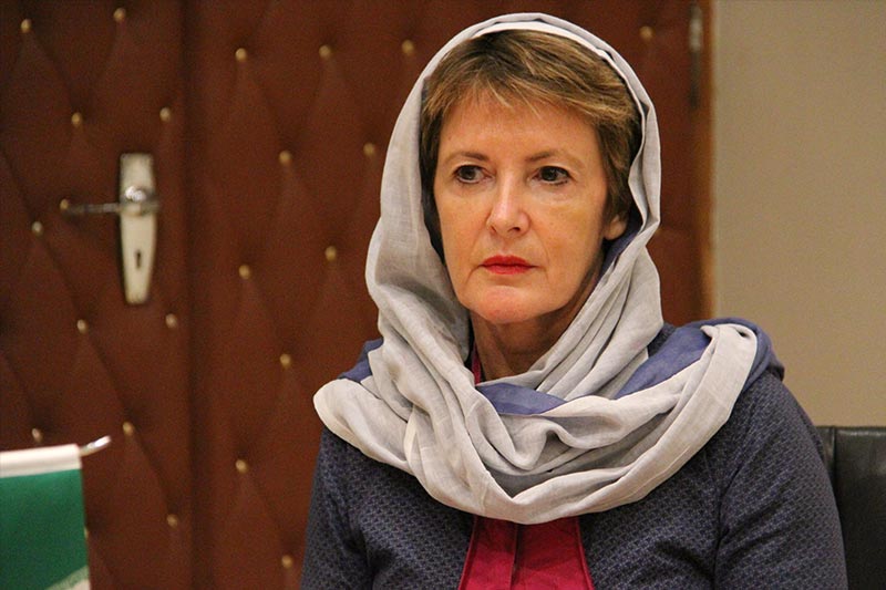 راه‌هاي همکاري سينماي ايران و فرانسه در توليد مشترک بررسي شد