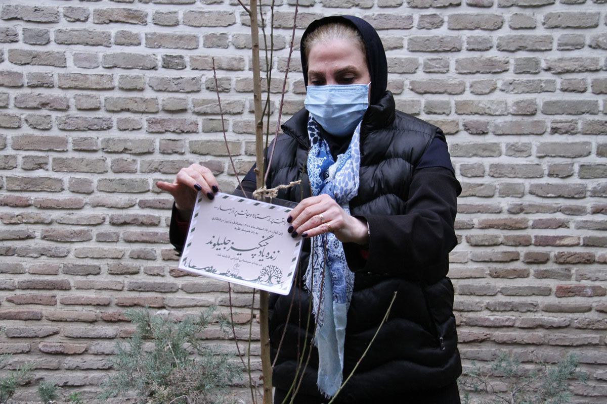 کاشت نهال‌ به یاد هنرمندان فقیدی که بر اثر کرونا آسمانی شدند