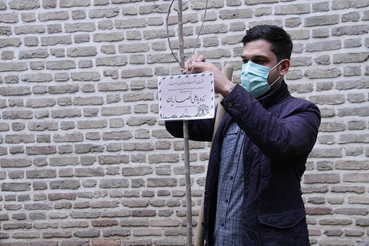 کاشت نهال‌ به یاد هنرمندان فقیدی که بر اثر کرونا آسمانی شدند
