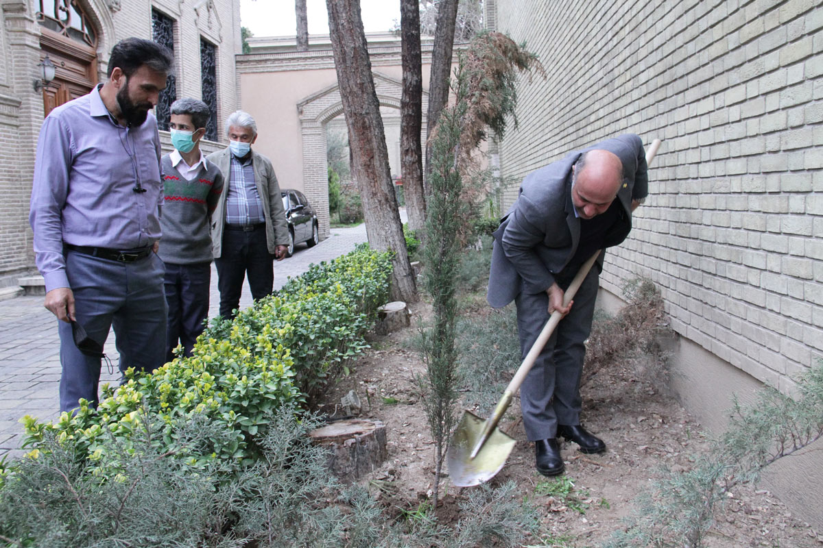 کاشت نهال‌ به یاد هنرمندان فقیدی که بر اثر کرونا آسمانی شدند