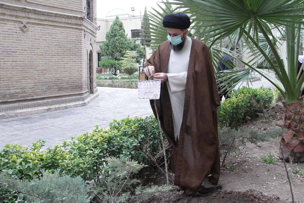کاشت نهال‌ به یاد هنرمندان فقیدی که بر اثر کرونا آسمانی شدند