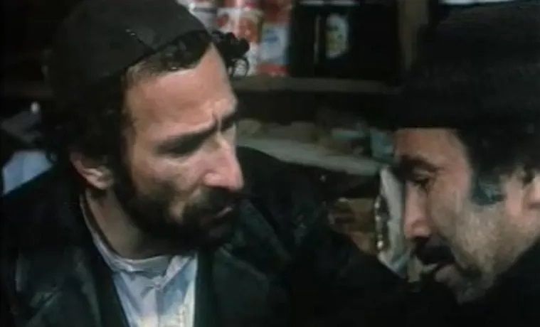 مادیان