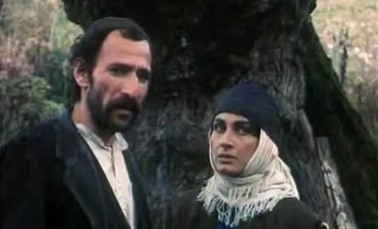 مادیان