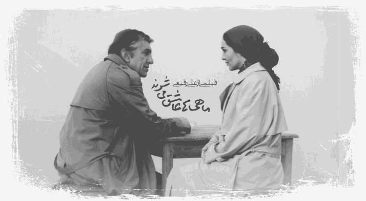ماهی‌ها عاشق می‌شوند