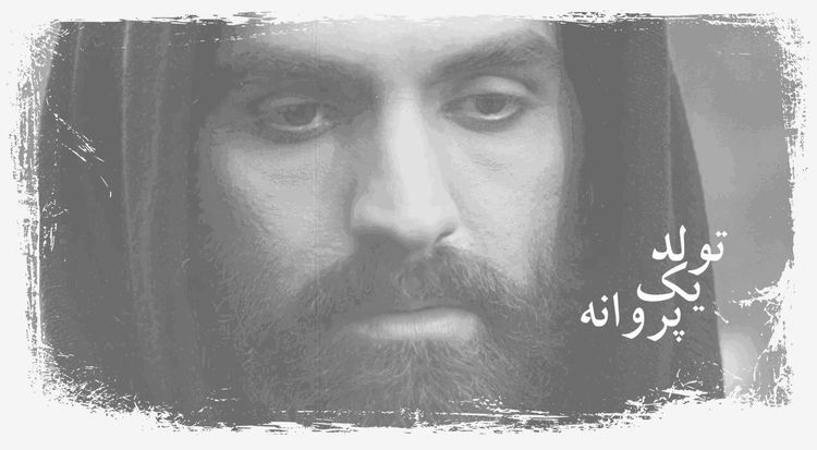 تولد یک پروانه