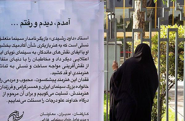 tashee-rashidi-03