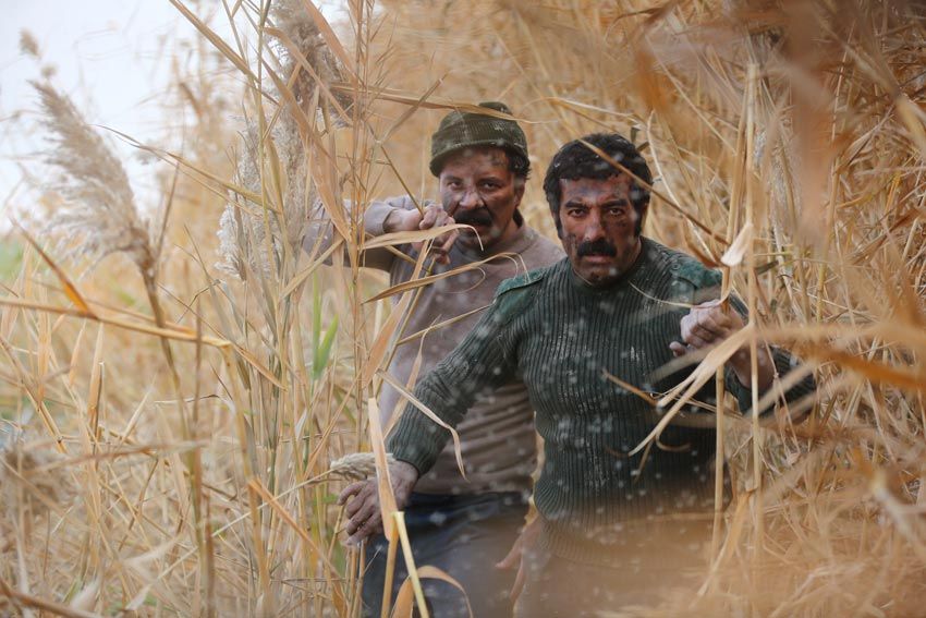 واقع نمای قهرمان محور