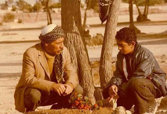 تاتوره