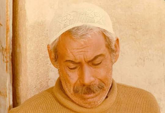 تاتوره